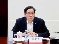 中国建材与中盐集