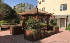 上海市养老办事立