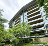 颐府曾经以“所见即所得”的姿势