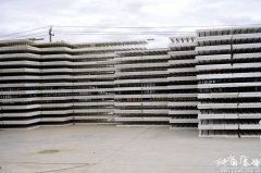 一个个制型可爱的毛绒玩具从流水线上接连